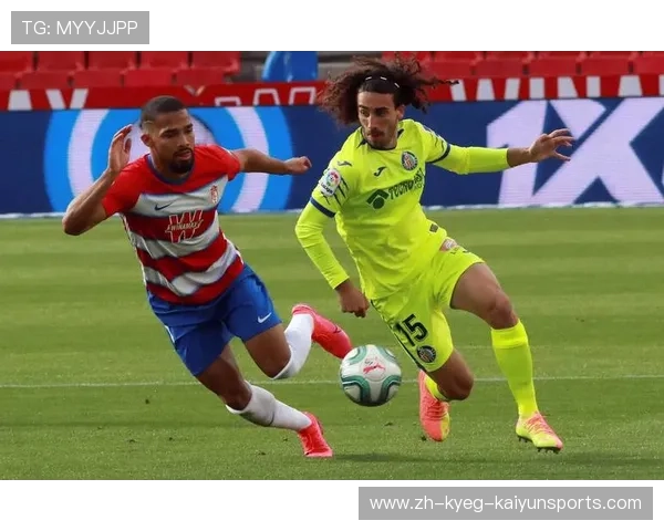 国外西甲直播平台推荐及安全性评测