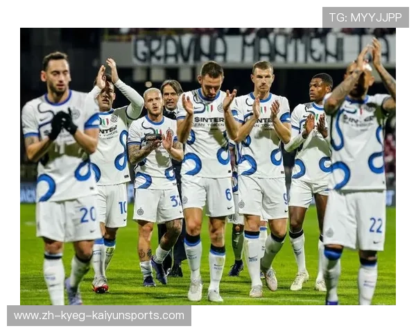 意甲各大球队主场介绍及球迷氛围对比