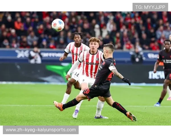 各德甲足球队官方资料汇编 各德甲足球队官方资料汇编